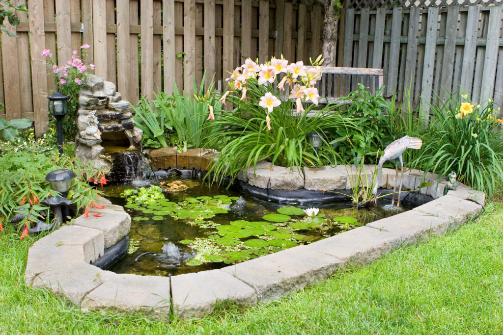 Back Yard Pond in New Jersey