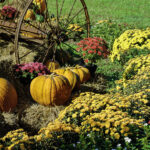 fall gardening supplies in NJ