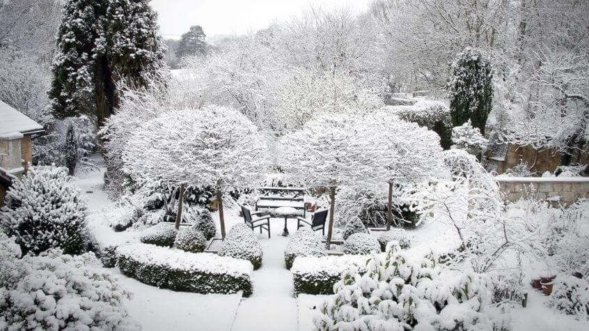 A semi-formal domestic winter garden under snow.