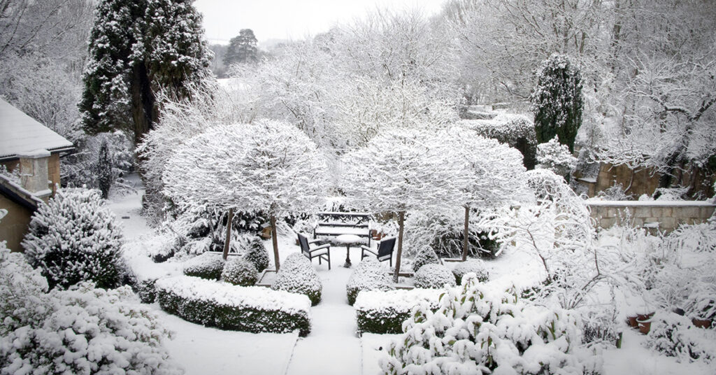 A semi-formal domestic winter garden under snow.