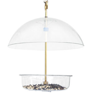 Droll yankees X-1 Seed Saver Bird Feeder, great for the winter