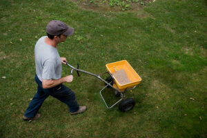 Fertilizing and seeding lawn