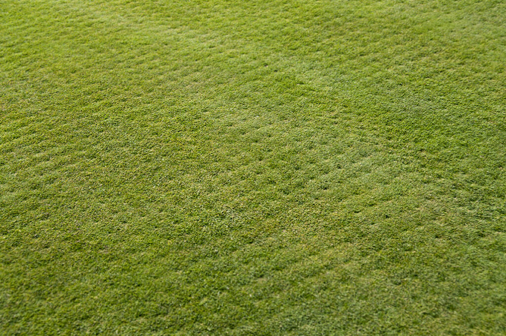 Lawn grass aeration