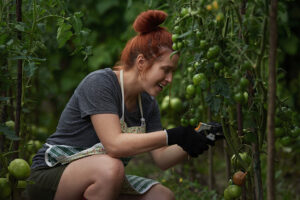 Woman pruning garden to prepare plants for weather woes