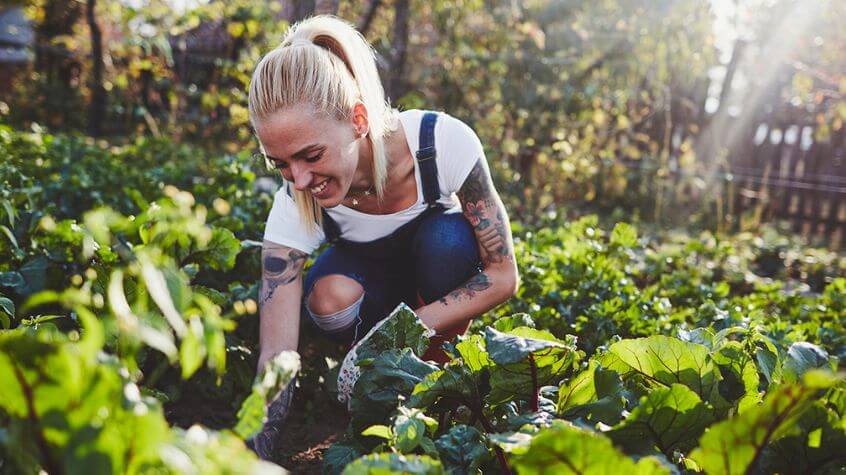 Woman in her autumn garden planting fall vegetables