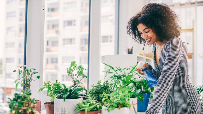 woman watering indoor plants