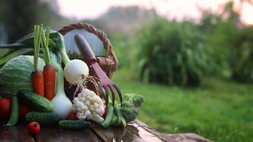 basket of fall vegetables