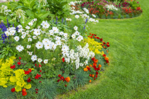 A variation of flowers in a beautiful flowerbed on a lawn.