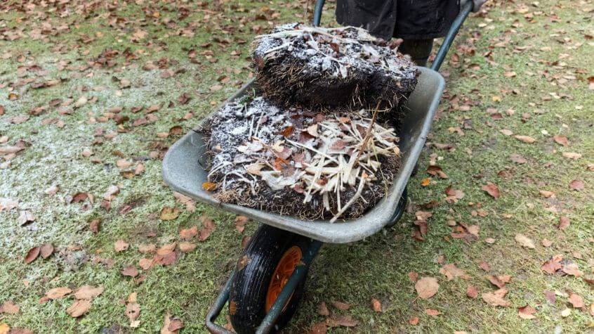 wheelbarrow filled with fallen autumn leaves