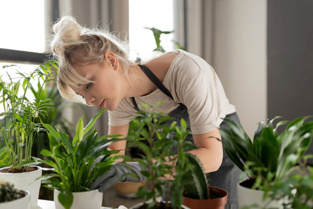 woman tending to indoor houseplants in her home