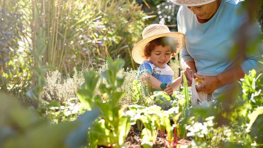 grandmother and grandchild working in the garden