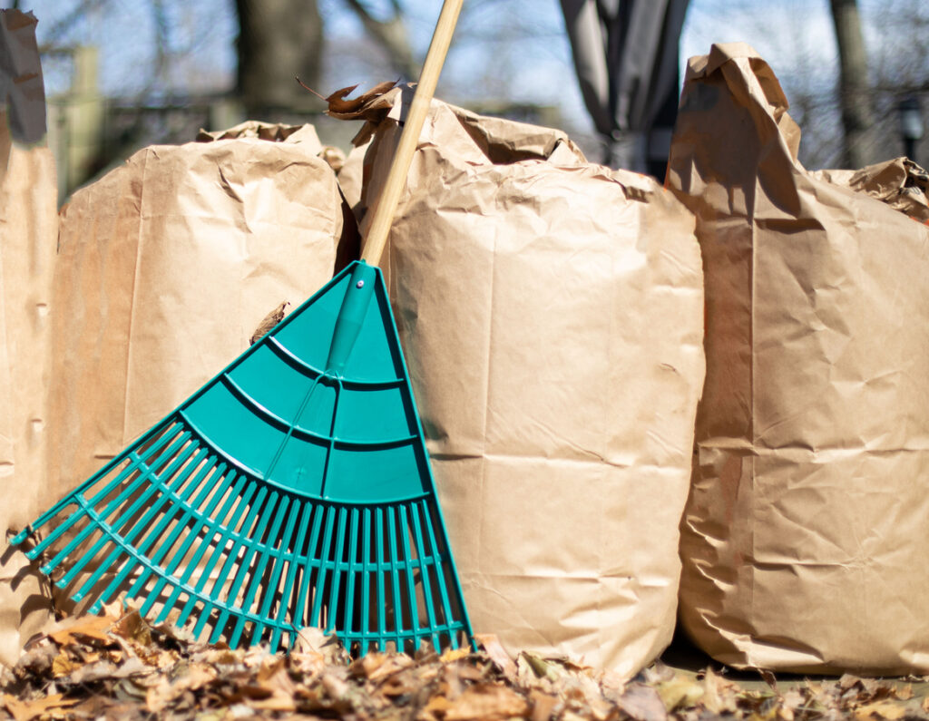 row of paper leaf composting bags with a leaf rake leaning on them