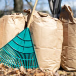 row of paper leaf composting bags with a leaf rake leaning on them