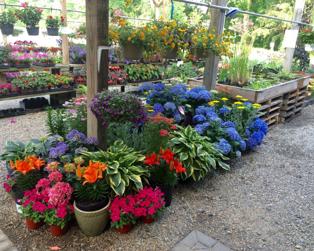 https://mendhamgardencenter.com/wp-content/uploads/2022/03/croppedimage1000800-Garden-Center-4.jpg