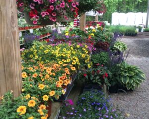 Gardening Gifts for Mom - Mendham Garden Centers