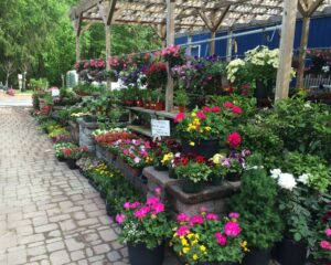 croppedimage1000800-Garden-Center-9