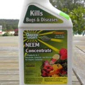 croppedimage350350-neem-oil