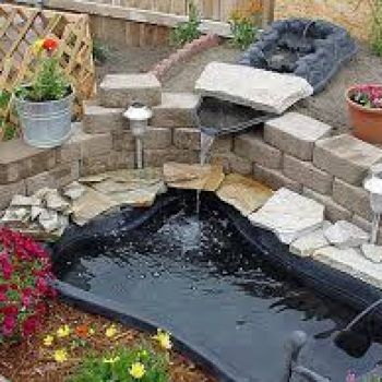 Backyard Pond in New Jersey