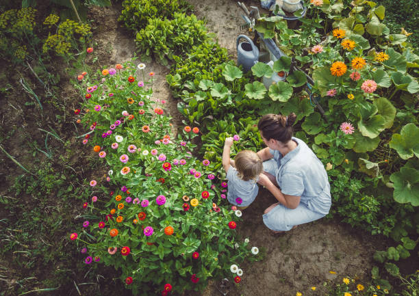 flowers that are a natural pest repellent