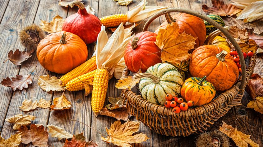 Pumpkins arranged as fall yard décor near a garden entrance.