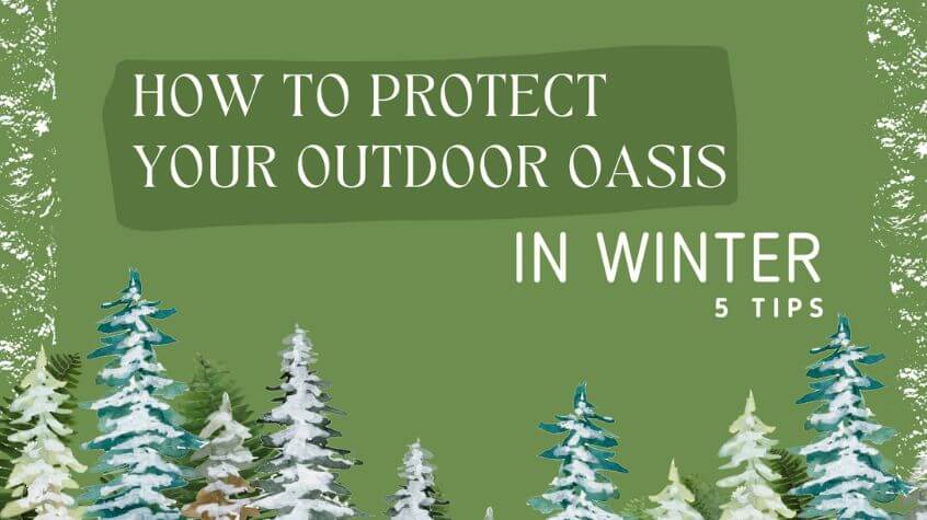 winter garden tips, protect your outdoor