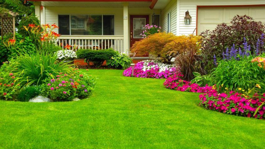 Kentucky blue grass lawn with vibrant flowers