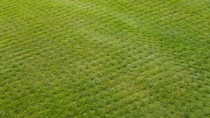 Lawn grass aeration