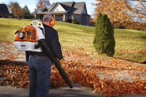 Best Leaf blower for lawn maintenance