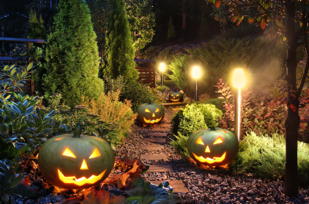 A garden pathway dimly lit by lights and spooky jack-o-lanterns