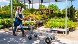 Woman working at Best Garden Centers Near Mendham NJ